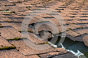Close up view of asphalt shingles roof damage that needs repair.
