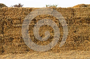 A close-up view of the background of many bales of compressed rice straw stacked