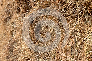 A close-up view of the background of many bales of compressed rice straw stacked