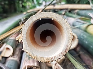 A Close-up View of a Bamboo Stack Hole.