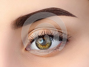 Close up view of beautiful brown female eye photo