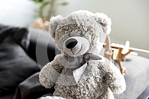 close-up view of beautiful grey teddy bear
