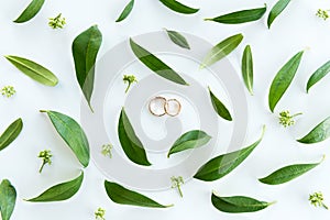 Close-up view of beautiful wedding composition with golden rings and green leaves