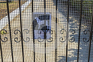 Close up view of Beware of dog sign on metal gate.