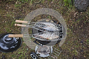 Close up view of  big  fishes on grill isolated. Food background.