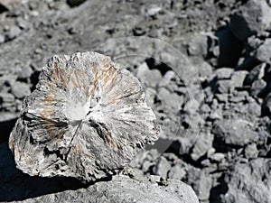 Close-up view of the boron mineral in the stone.