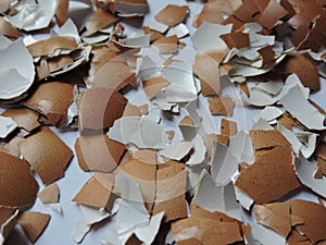 Broken eggshells shards on a white background
