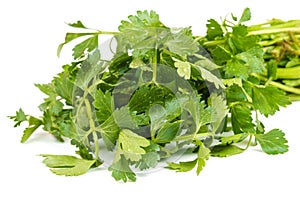 Close up view of bunch of fresh green parsley on white background