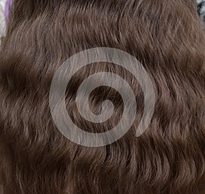 Close-up view of a bunch of shiny curls of brown hair. Background of female long hair close up. Curly long hair. copy space