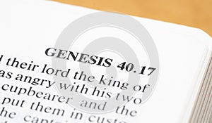 A close-up view capturing the text of Genesis 4017 on a page within an open Bible, closeup, old testament books. Holy Bible