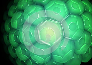 Close up view of a cell wall