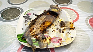 Close up view of `Cencaru Bakar Sumbat Sambal` in Malay or grilled fish half eaten on a white plate on table