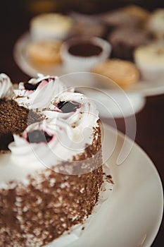 Close up view of chocolate gateau