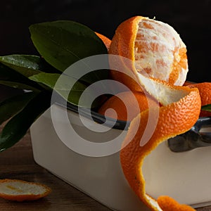 Close up view of citrus fruits on black background. Oranges vitaminic