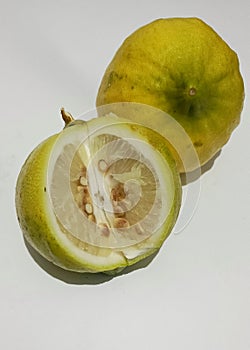 Close-up view of Citrus Medica
