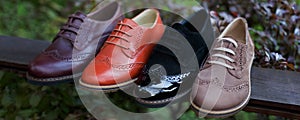 Close up view of a colored a lot of pairs of a shoes, arranged on a wooden, on a park background, copy space.