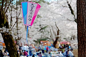Close up view of colorful Japanese lanterns hanging under Sakura trees with a blurred background of beautiful cherry blossoms