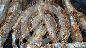 Close-up view of cooking frying capelin fish in iron pan. Broiled caplin fish - unhealthy Asian food