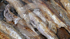 Close-up view of cooking frying capelin fish in iron pan. Grilled caplin fish - traditional Asian cuisine where entire
