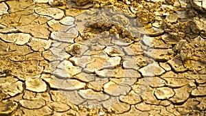 Close up view of cracked dried soil. Desiccation in soil, hard panic surface, natural dryness and rough desert plains. It occurs