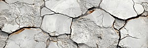 Close Up of Cracked Gray and Off White Textured Surface