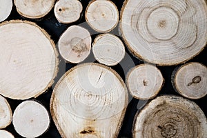 Close up view of cut wooden log. Unique circles from old trees. Creative modern interior design idea for home wall decor. Abstract
