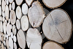 Close up view of cut wooden log. Unique circles from old trees. Creative modern interior design idea for home wall decor. Abstract
