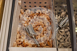 Close up view of deep-frozen seafood isolated . Healthy food concept.