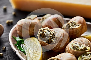 Close up view of delicious cooked escargots with lemon slices.