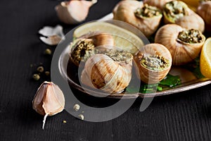 Close up view of delicious cooked escargots with lemon slices and garlic.