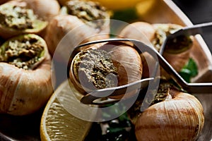 Close up view of delicious cooked escargots with lemon slices and tweezers.