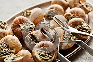 Close up view of delicious escargots with tweezers on plate on stone background.