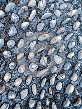 Textured Path of Pebbles