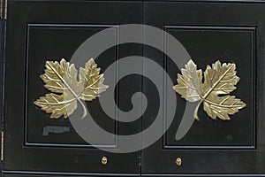 close up view of the doors or the Canadian embarrass