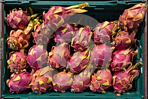 Close-up view of the dragon fruits arranged in the basket for sale in the supermarket