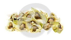Close-up view of dried seeds of the herbal plant Moringa oleifera Lam, white background, isolated