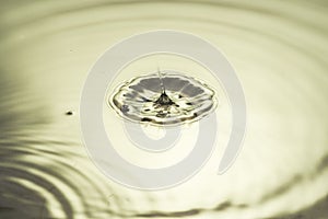 Close up view of drops making circles on water surface isolated on background
