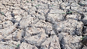 Close-up view of dry land in an agricultural field