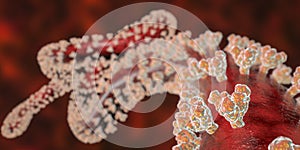 Close-up view of Ebola virus with glycoprotein spikes on its surface