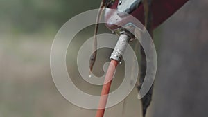 Close-up view of electric guitar surface and audio cable in water drops and algae. Stock. Music and nature.