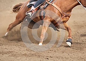 A close up view of a fast running horse and flying dirt.