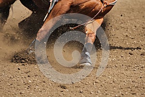 A close up view of a fast running horse and flying dirt.