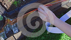 Close up view of female protecting plants in pall from snails with copper snail tape.