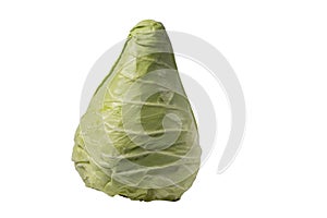 Close up view of field cabbage isolated on white background.