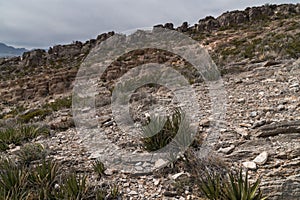 Close up view of the Franklin Mountains photo