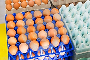 Close up view on fresh brown eggs in blue plastic containers