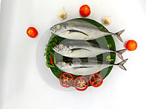 Close up view of fresh Finletted Mackerel Fish Torpedo Scad Fish decorated with curry leaves , tomato,lemon slice and herbs