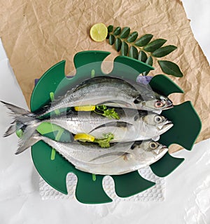 Close up view of fresh Finletted Mackerel Fish or Torpedo Scad Fish decorated in a green bowl with herbs.White background