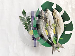 Close up view of fresh Finletted Mackerel Fish or Torpedo Scad Fish decorated in a green bowl with herbs.White background