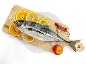 Close up view of fresh Finletted Mackerel Fish or Torpedo Scad Fish decorated with herbs.White background,Selective focus